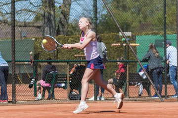 Bild 221 - NL VfL Westercelle - TC RW Wahlstedt 2 : Ergebnis: 5:4